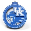 Kentucky Wildcats