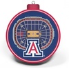 Arizona Wildcats