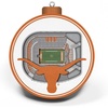 Texas Longhorns
