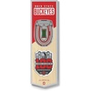 Ohio State Buckeyes 100th