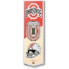 Ohio State Buckeyes