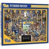 Pittsburgh Panthers