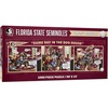 Florida State Seminoles