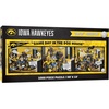 Iowa Hawkeyes