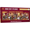 Iowa State Cyclones