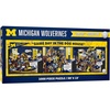 Michigan Wolverines