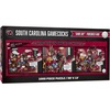 South Carolina Gamecocks