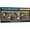 West Virginia Mountaineers