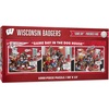 Wisconsin Badgers