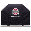Ohio State Buckeyes
