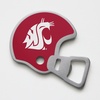 Washington State Cougars