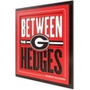 Georgia Bulldogs