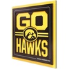 Iowa Hawkeyes