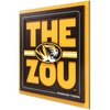 Missouri Tigers