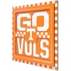 Tennessee Volunteers