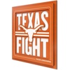 Texas Longhorns