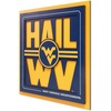 West Virginia Mountaineers