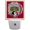 Florida State Seminoles