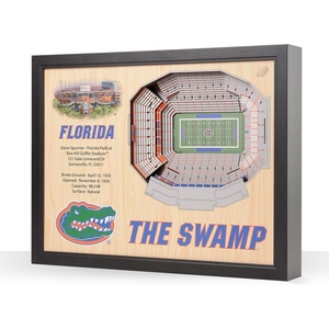 image:imageYouTheFan NCAA 25Layer StadiumView Wall ArtFlorida Gators