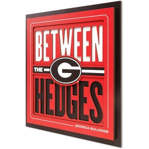 image:imageYouTheFan NCAA North Carolina Tar Heels Slogan Series 3D Wall ArtGeorgia Bulldogs