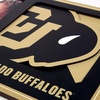 image:imageYouTheFan NCAA 3D Logo Picture FrameColorado Buffaloes