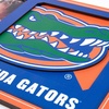 image:imageYouTheFan NCAA 3D Logo Picture FrameFlorida Gators