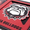 image:imageYouTheFan NCAA 3D Logo Picture FrameGeorgia Bulldogs
