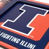 image:imageYouTheFan NCAA 3D Logo Picture FrameIllinois Fighting Illini