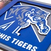 image:imageYouTheFan NCAA 3D Logo Picture FrameMemphis Tigers