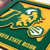 image:imageYouTheFan NCAA 3D Logo Picture FrameNorth Dakota State Bison