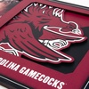image:imageYouTheFan NCAA 3D Logo Picture FrameSouth Carolina Gamecocks