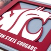 image:imageYouTheFan NCAA 3D Logo Picture FrameWashington State Cougars