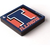 image:imageYouTheFan NCAA 3D Logo Series MagnetIllinois Fighting Illini