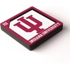 image:imageYouTheFan NCAA 3D Logo Series MagnetIndiana Hoosiers