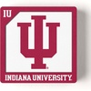 image:imageYouTheFan NCAA 3D Logo Series MagnetIndiana Hoosiers