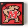 image:imageYouTheFan NCAA 3D Logo Series MagnetMaryland Terrapins