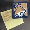 image:imageYouTheFan NCAA 3D Logo Series MagnetMontana State Bobcats