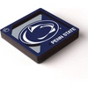 image:imageYouTheFan NCAA 3D Logo Series MagnetPenn State Nittany Lions