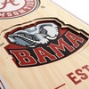 image:imageYouTheFan NCAA 3D StadiumView 8x32 BannerAlabama Crimson Tide
