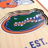 image:imageYouTheFan NCAA 3D StadiumView 8x32 BannerFlorida Gators