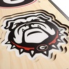 image:imageYouTheFan NCAA 3D StadiumView 8x32 BannerGeorgia Bulldogs