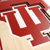 image:imageYouTheFan NCAA 3D StadiumView 8x32 BannerIndiana Hoosiers
