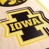 image:imageYouTheFan NCAA 3D StadiumView 8x32 BannerIowa Hawkeyes