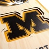 image:imageYouTheFan NCAA 3D StadiumView 8x32 BannerMissouri Tigers