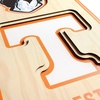 image:imageYouTheFan NCAA 3D StadiumView 8x32 BannerTennessee Volunteers