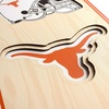 image:imageYouTheFan NCAA 3D StadiumView 8x32 BannerTexas Longhorns