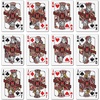 image:imageYouTheFan NCAA OfficiallyLicensed Playing Cards  Original Artwork on All face Cards and Jokers  Teams Official Colors  Quality Linen Texture  Designed in The USAMaryland Terrapins
