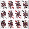 image:imageYouTheFan NCAA OfficiallyLicensed Playing Cards  Original Artwork on All face Cards and Jokers  Teams Official Colors  Quality Linen Texture  Designed in The USAGeorgia Bulldogs
