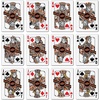 image:imageYouTheFan NCAA OfficiallyLicensed Playing Cards  Original Artwork on All face Cards and Jokers  Teams Official Colors  Quality Linen Texture  Designed in The USAOklahoma State Cowboys