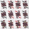 image:imageYouTheFan NCAA OfficiallyLicensed Playing Cards  Original Artwork on All face Cards and Jokers  Teams Official Colors  Quality Linen Texture  Designed in The USASouth Carolina Gamecocks